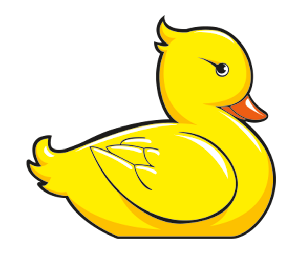 Holly Duckworth_duck_only_face_right_yellow